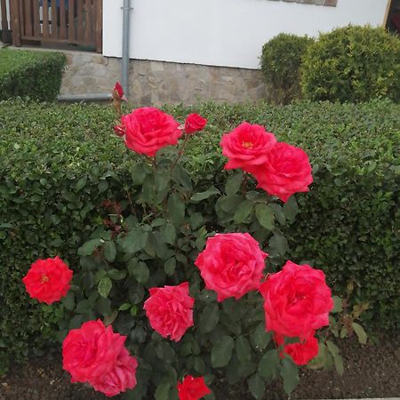 Krushunska Panorama Otel Krushuna Dış mekan fotoğraf