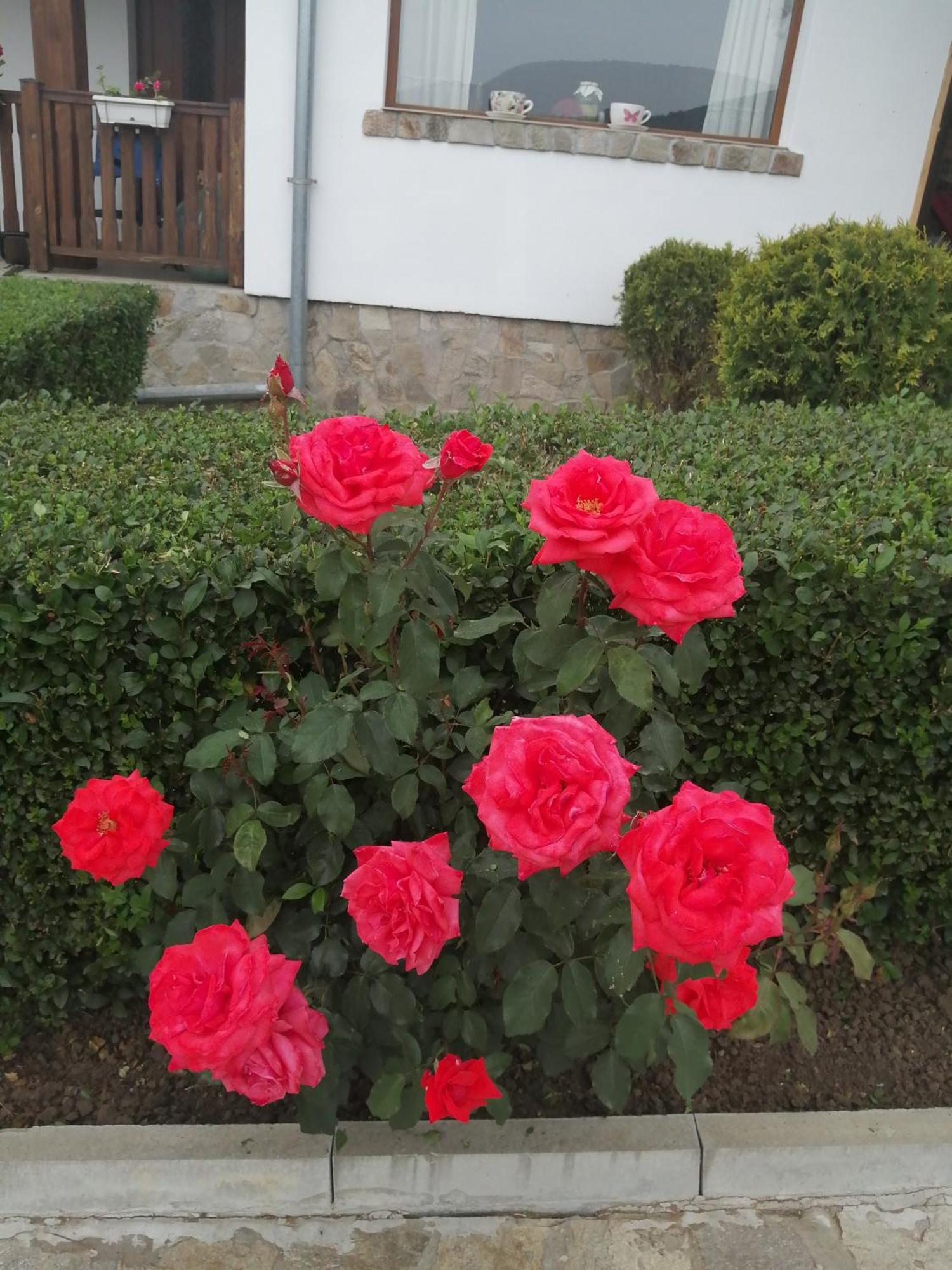 Krushunska Panorama Otel Krushuna Dış mekan fotoğraf